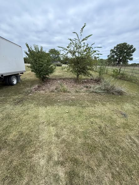 Cleared, open yard after brush and debris removal
